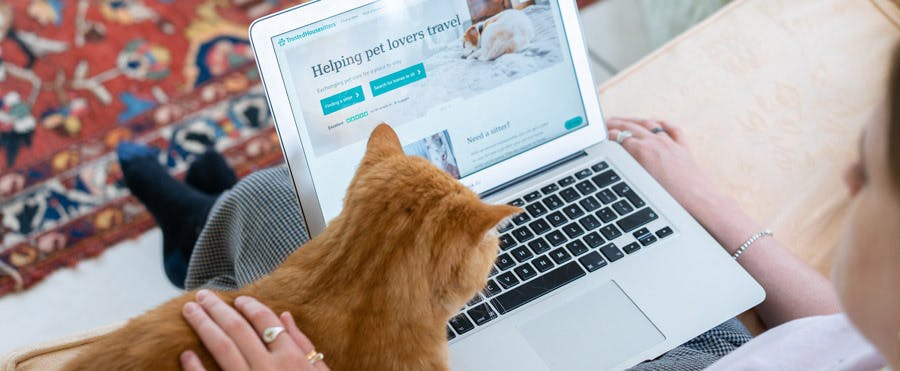 Owner using TrustedHousesitters to find a cat sitter. 